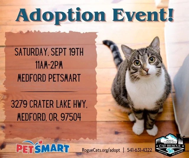 Adoptions at PetSmart