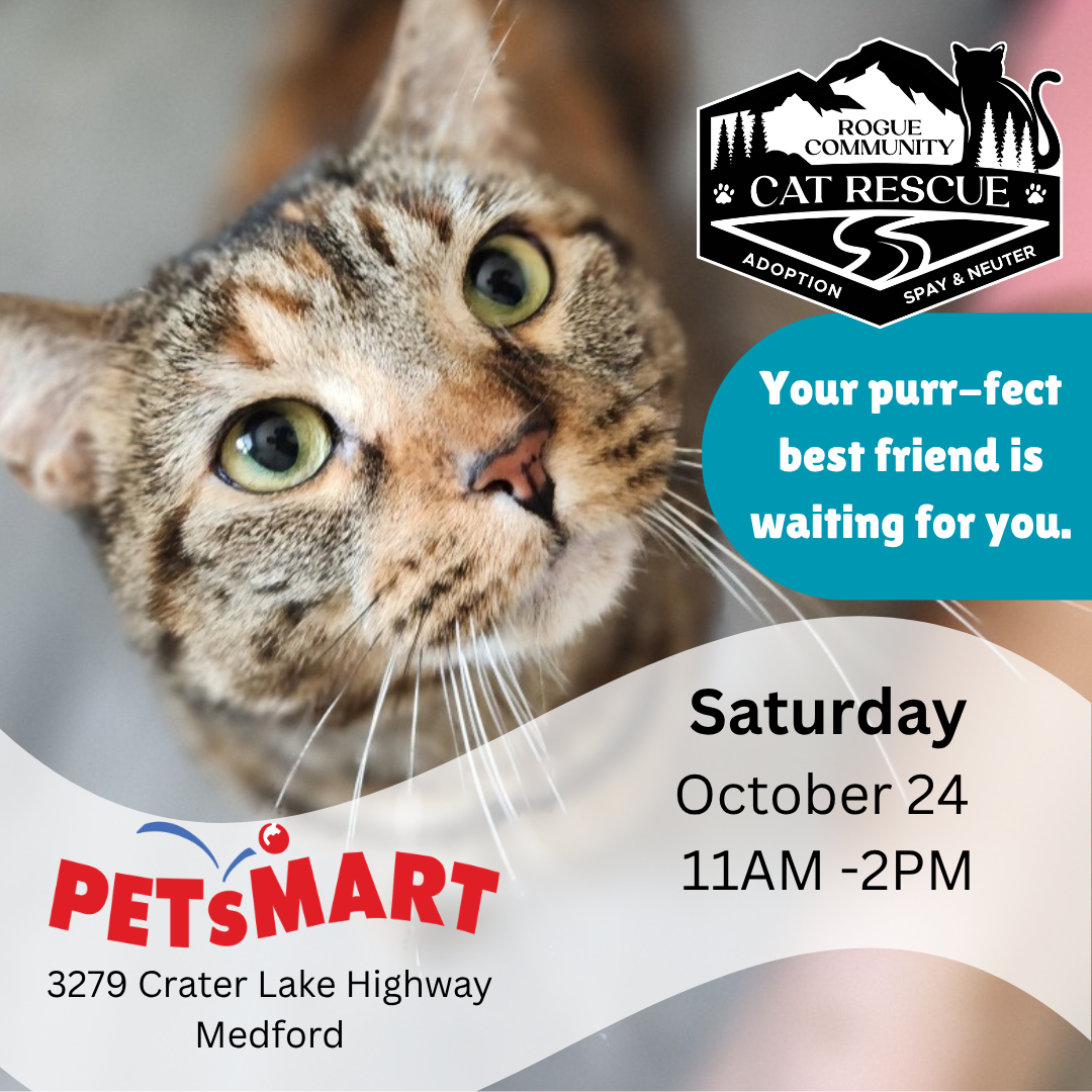 PetSmart ADOPTION DAY!