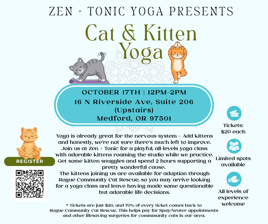 Cat Yoga at Zen + Tonic Yoga