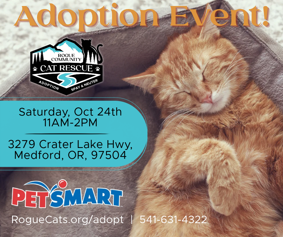 PetSmart ADOPTION DAY!