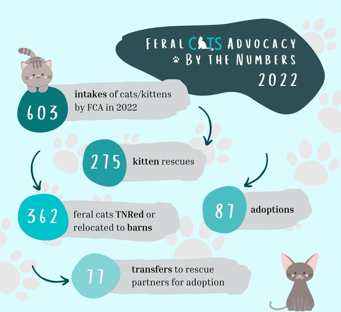 Feral cats advocacy