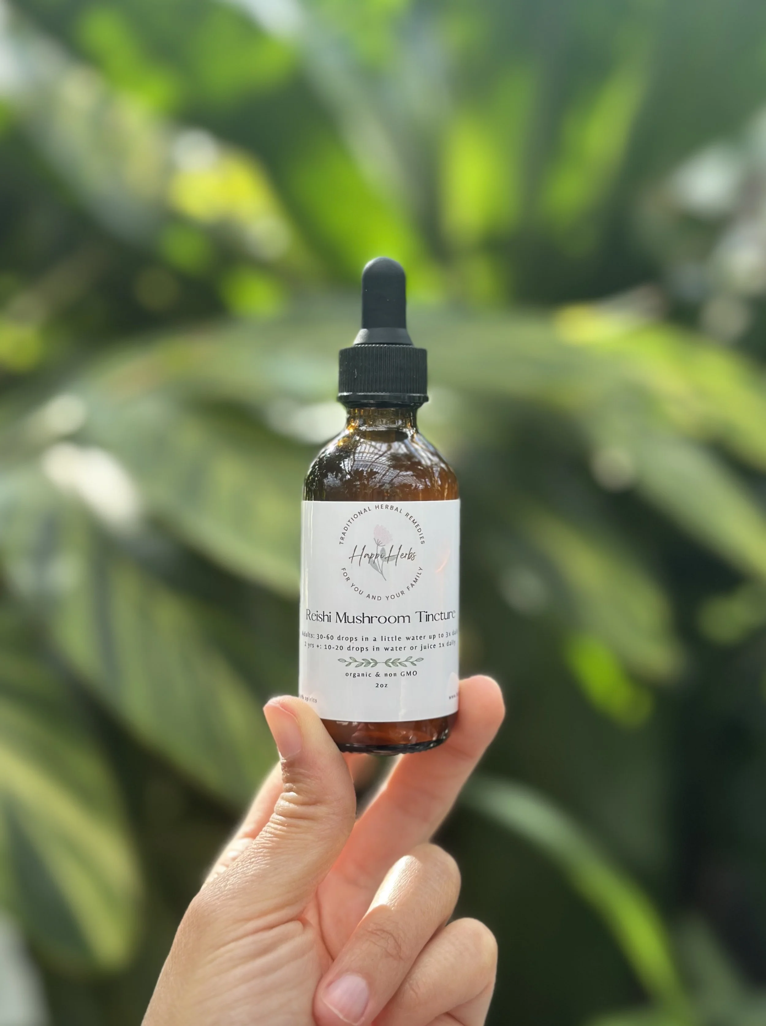 Reishi Mushroom Tincture (2oz)