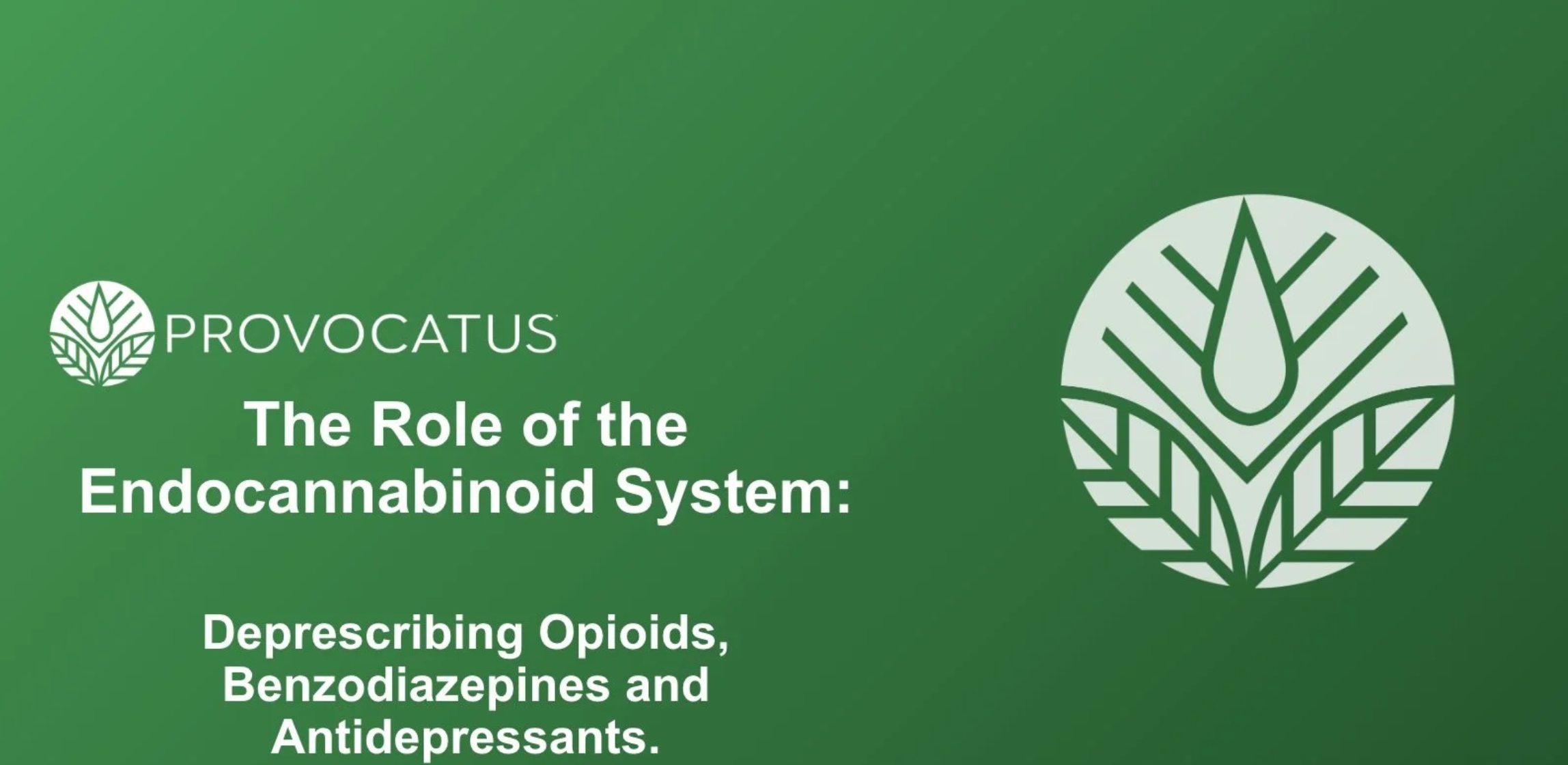 The Endocannabinoid System: A New Frontier for Veteran Health and Wellbeing