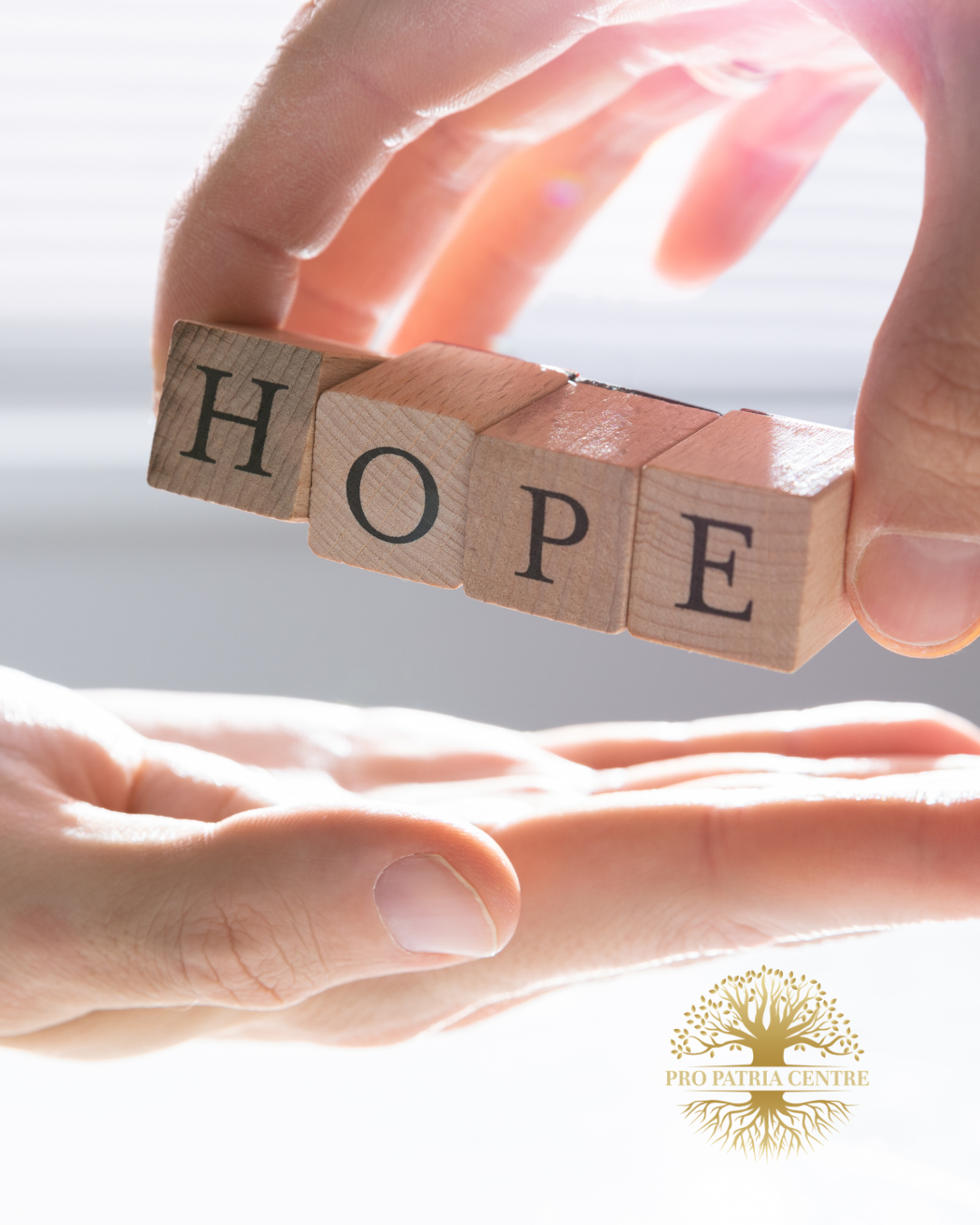 This EOFY, Help Us Build a Legacy of Healing and Hope