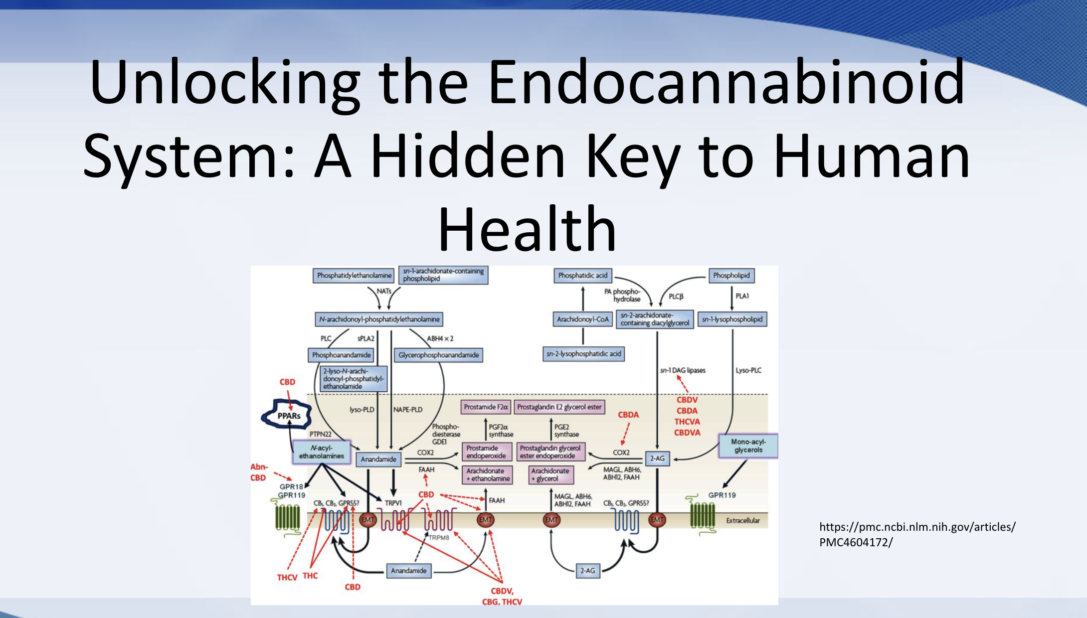 Webinar Event: Unlocking the Endocannabinoid System: How Is Medicinal Cannabis Helping So Many People?