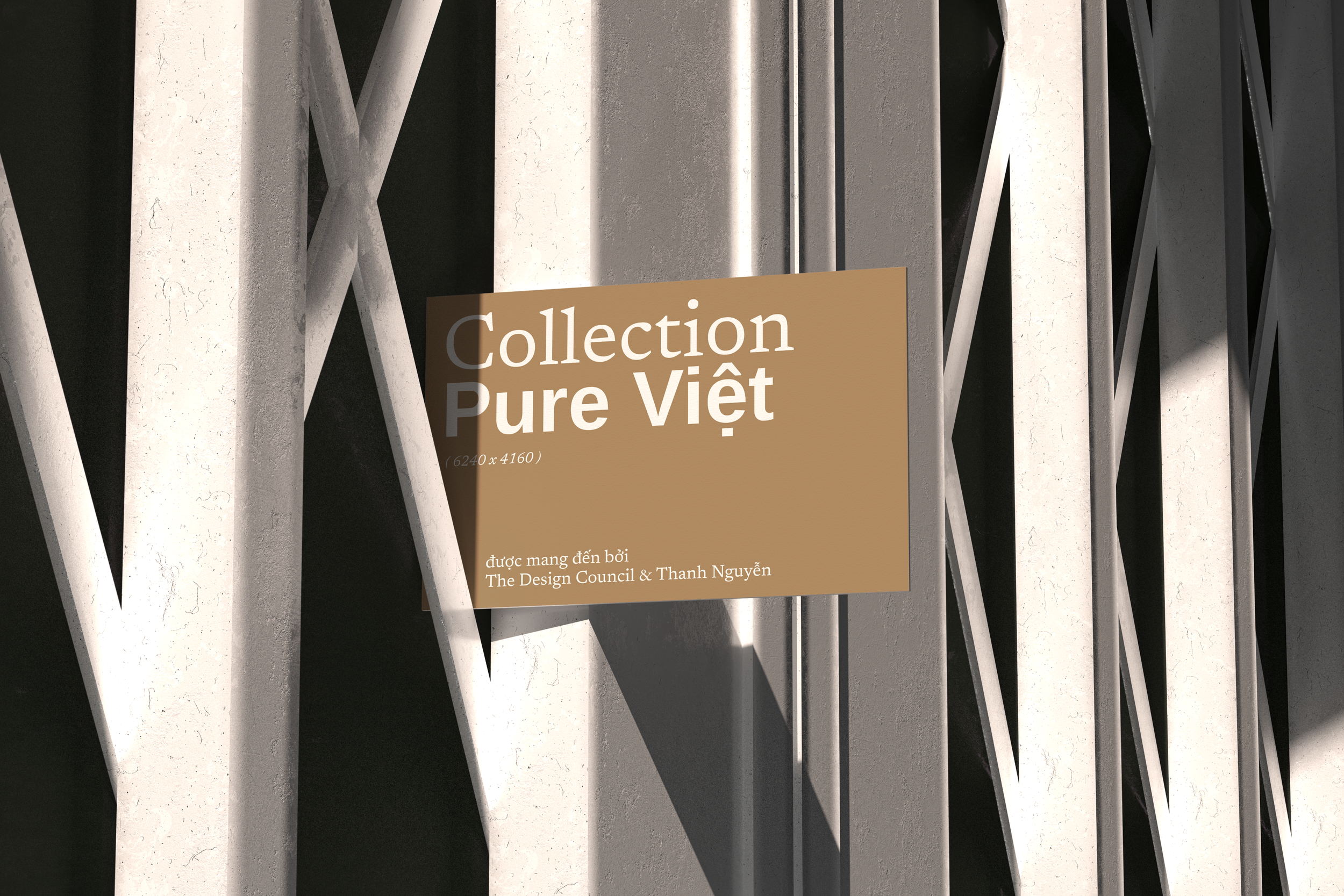 07 - TDC - Business Card - Vietnam Mockup 1.png