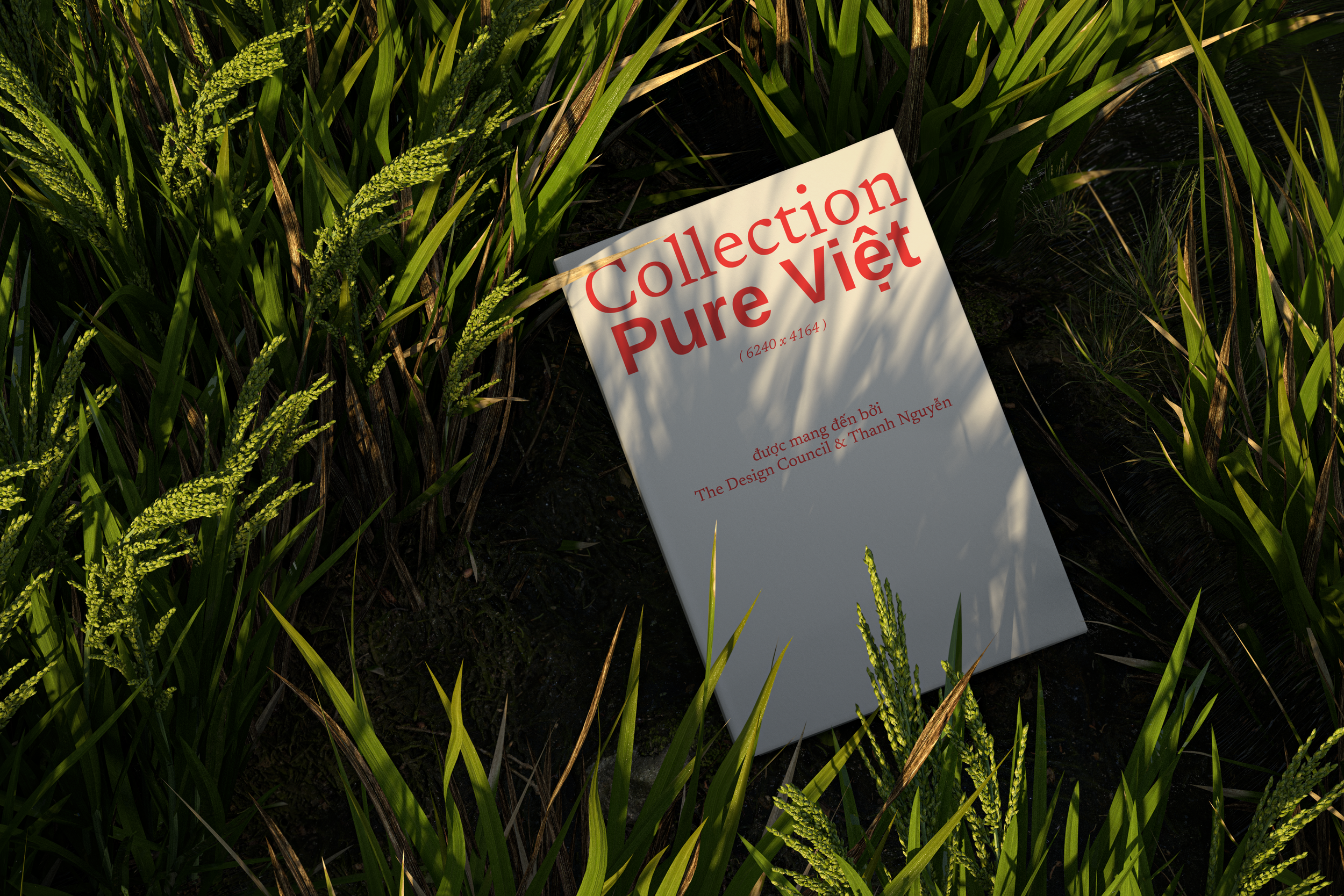 02- TDC - Book - Vietnam Mockup 1.png