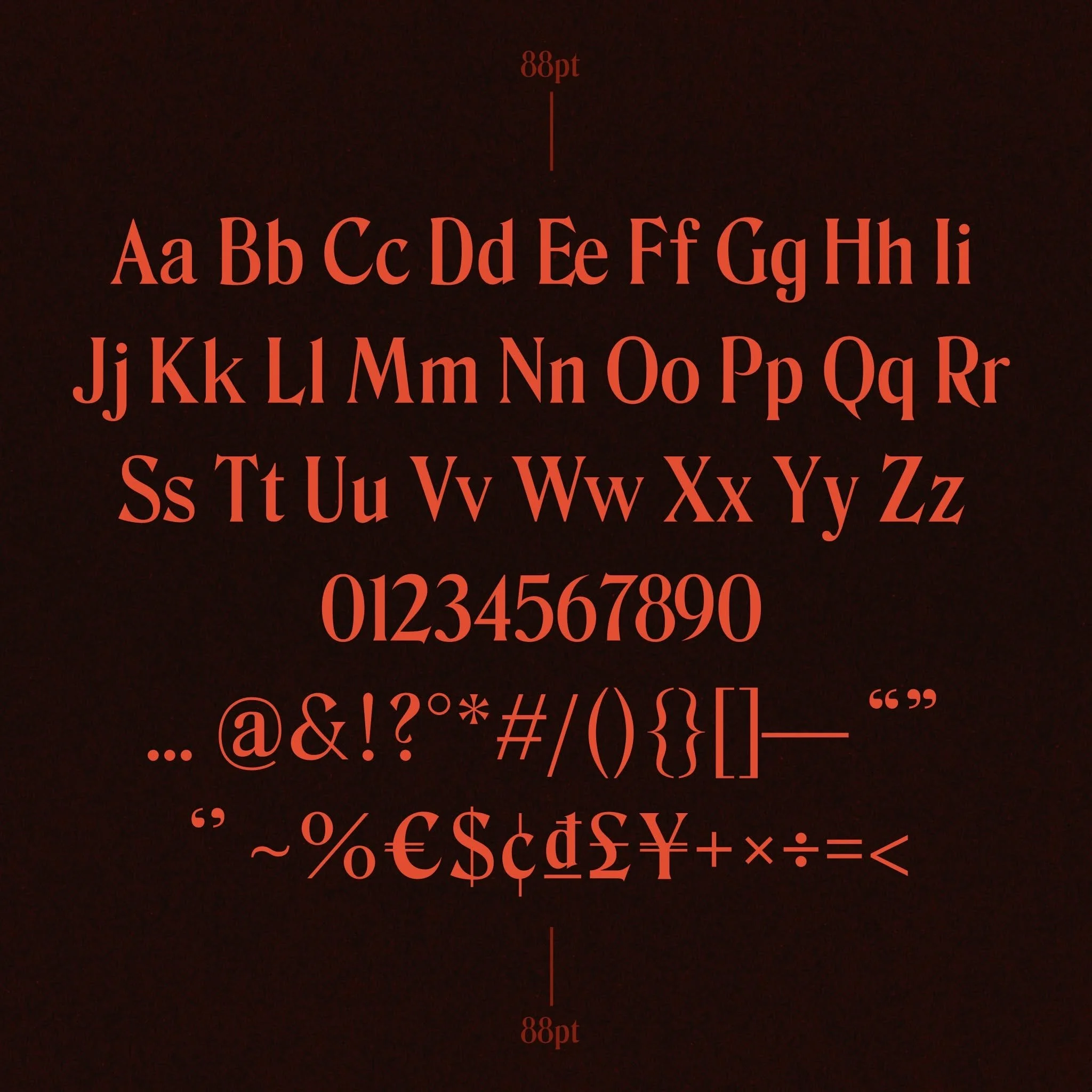 657707189_912910184943801_5255392466807061222_n.jpg