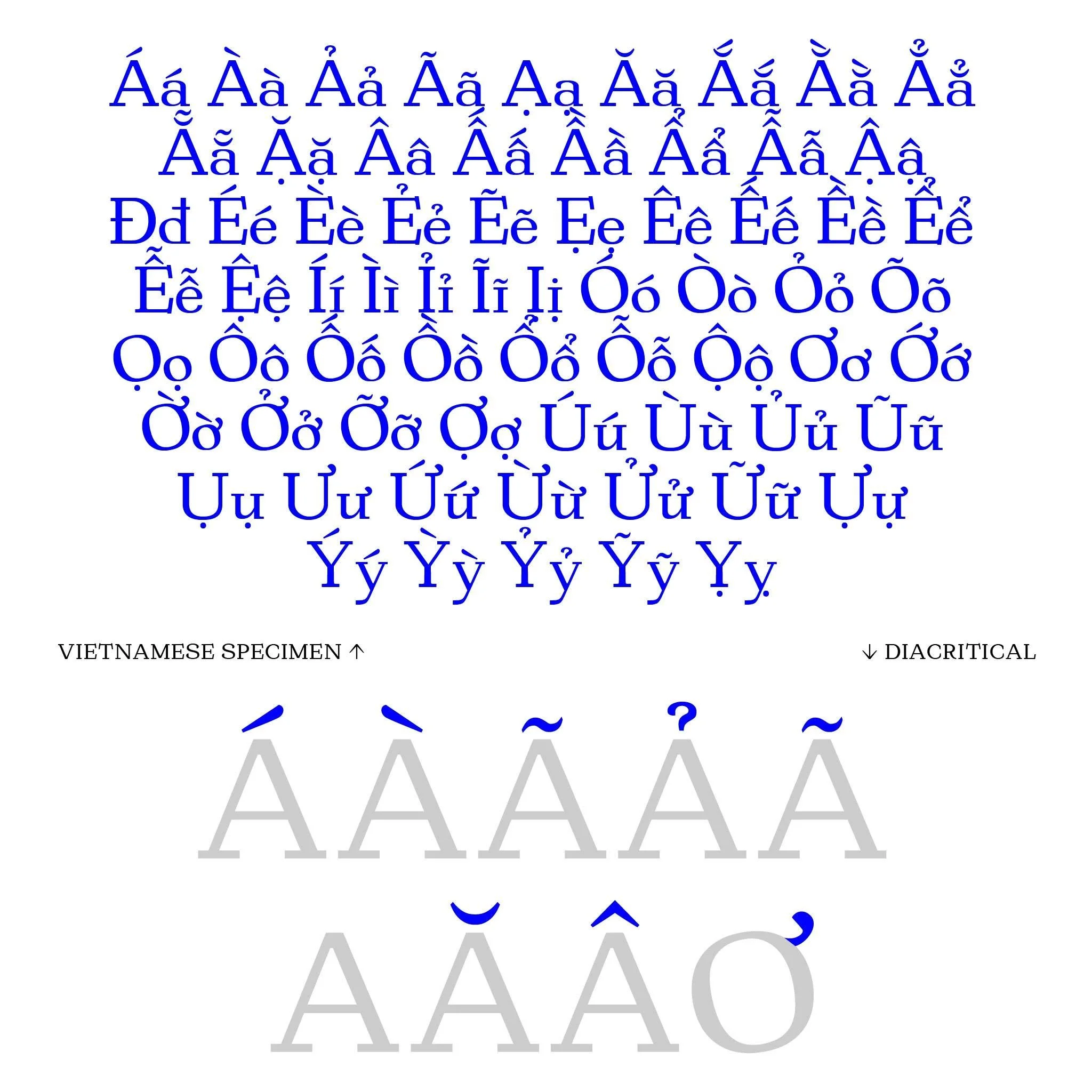 600267593_835289122705908_1843449769810170918_n.jpg