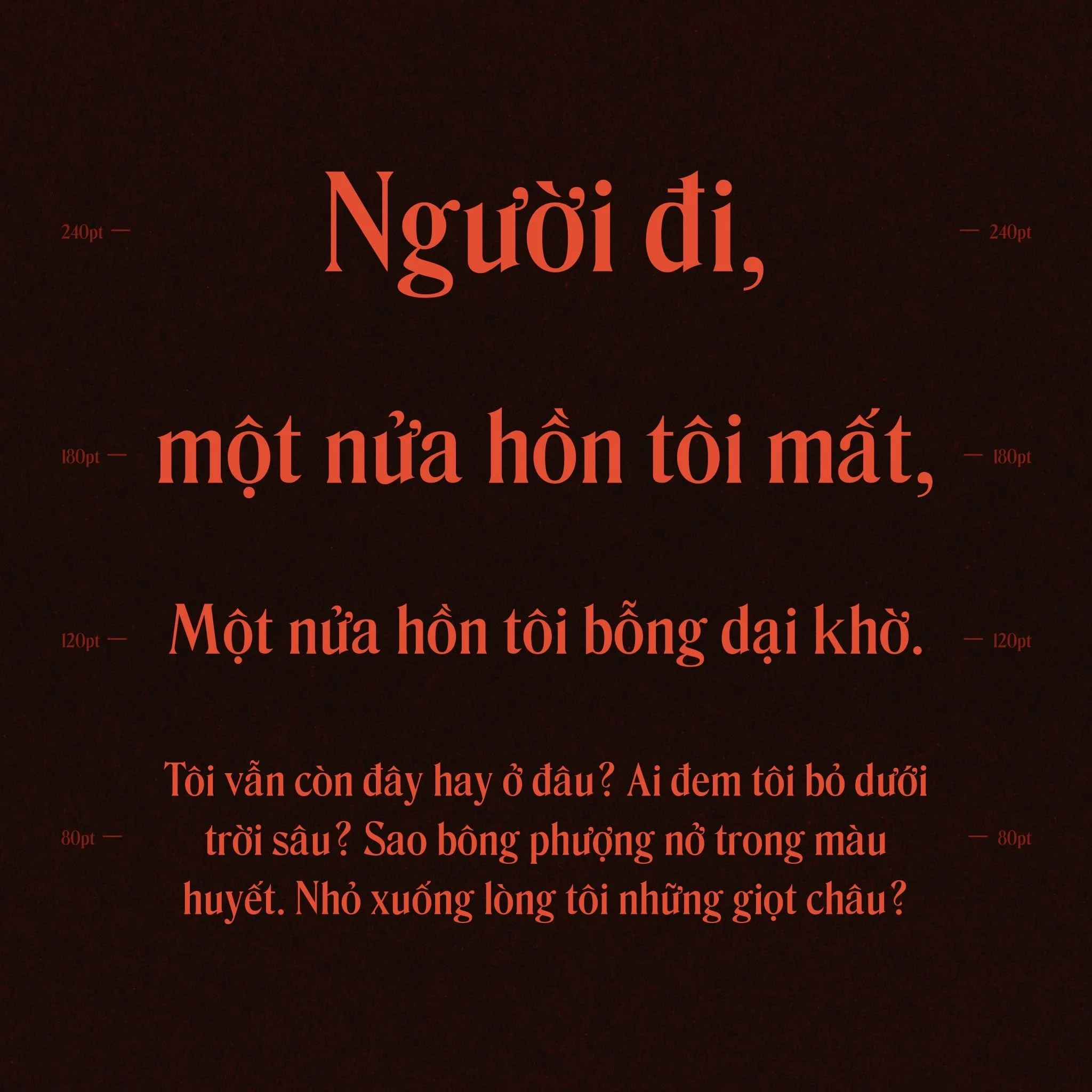 657867697_912910208277132_4989050470758891814_n.jpg