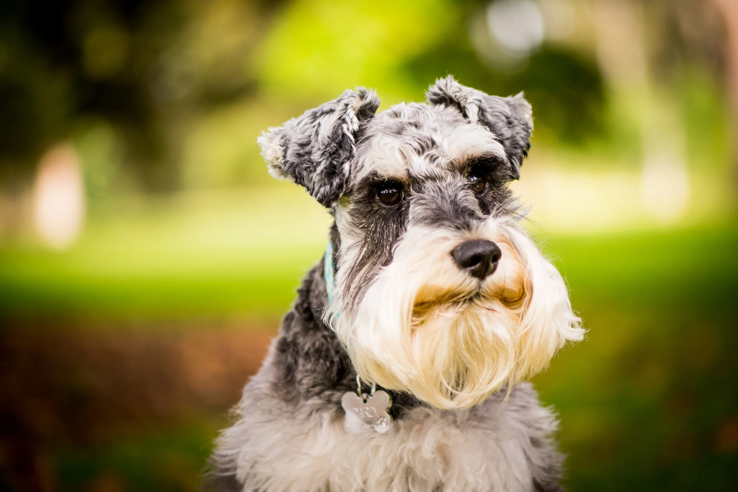 3-11-2019 Darcy-11.jpg