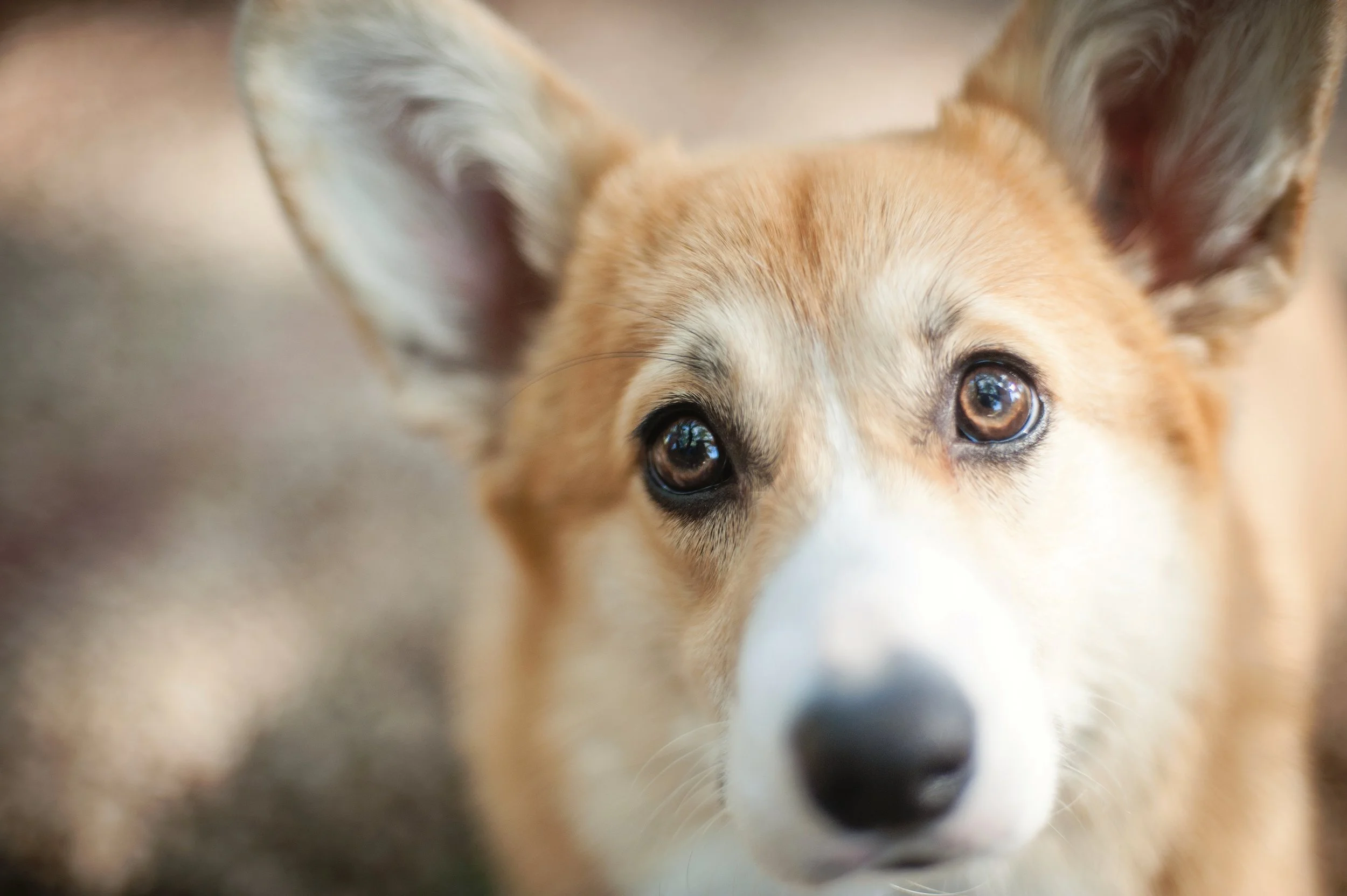 6-05-2018 Misa-8.jpg