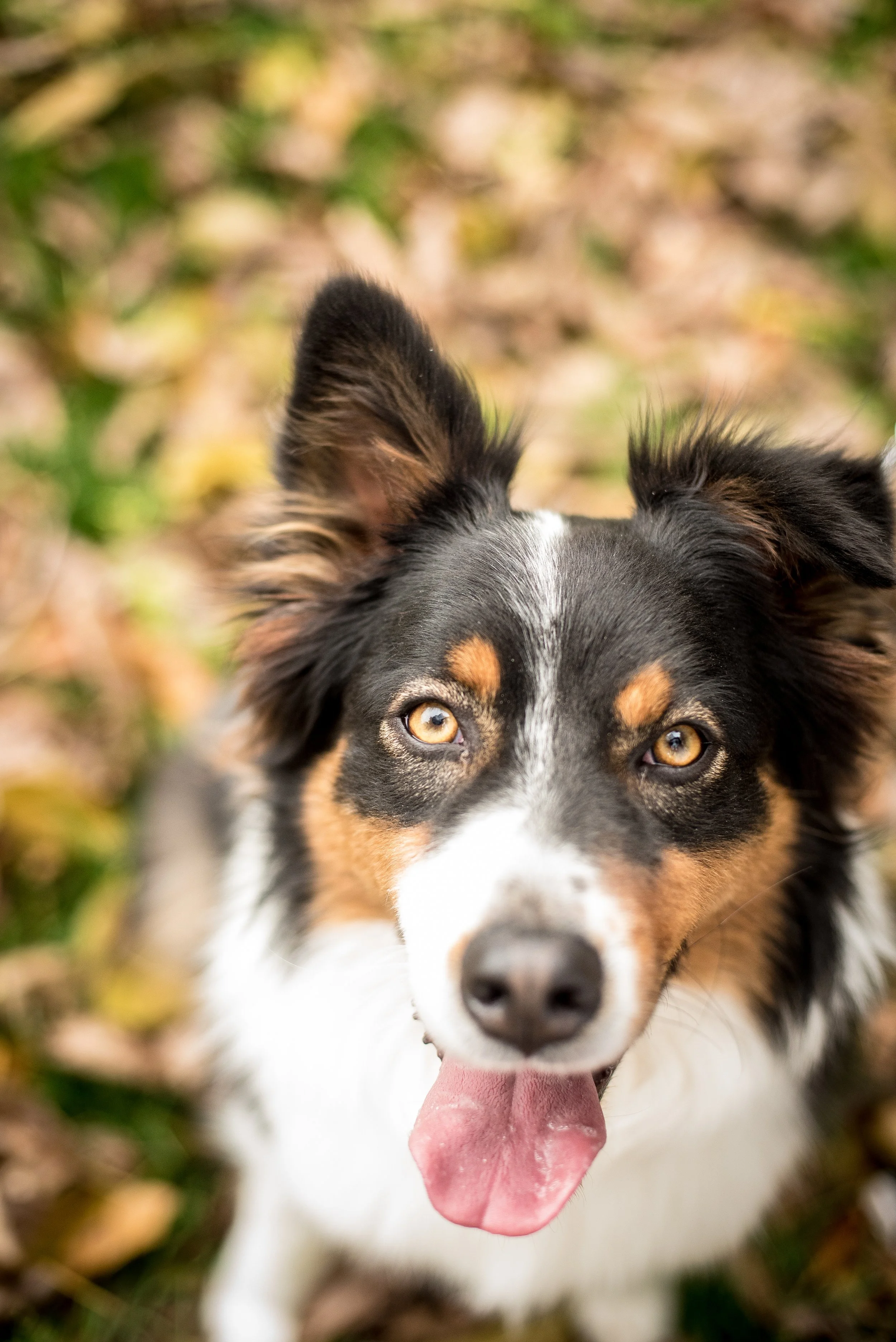 13-10-2019 Ruby Dang-9.jpg