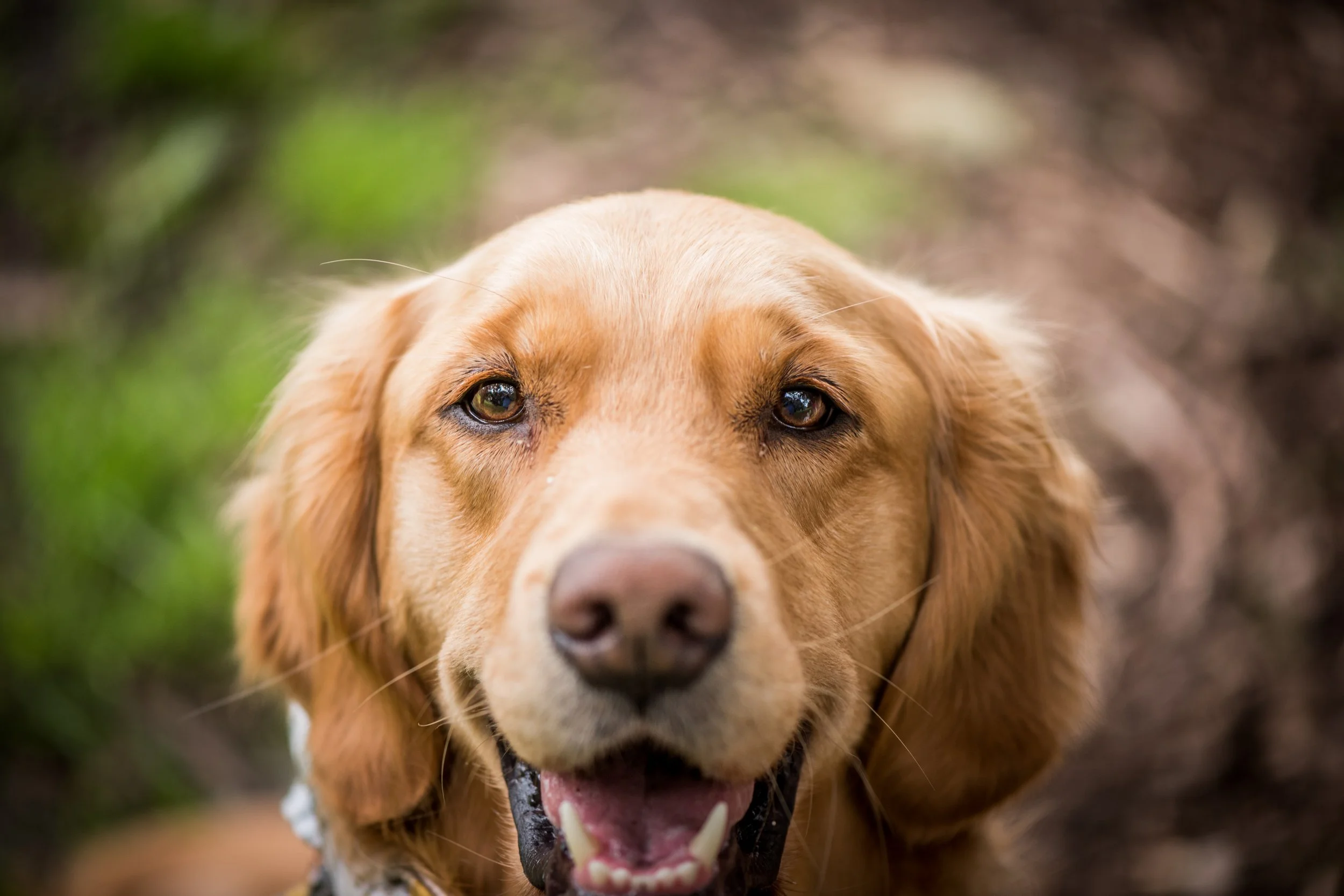 27-08-2022 Molly-15-2.jpg