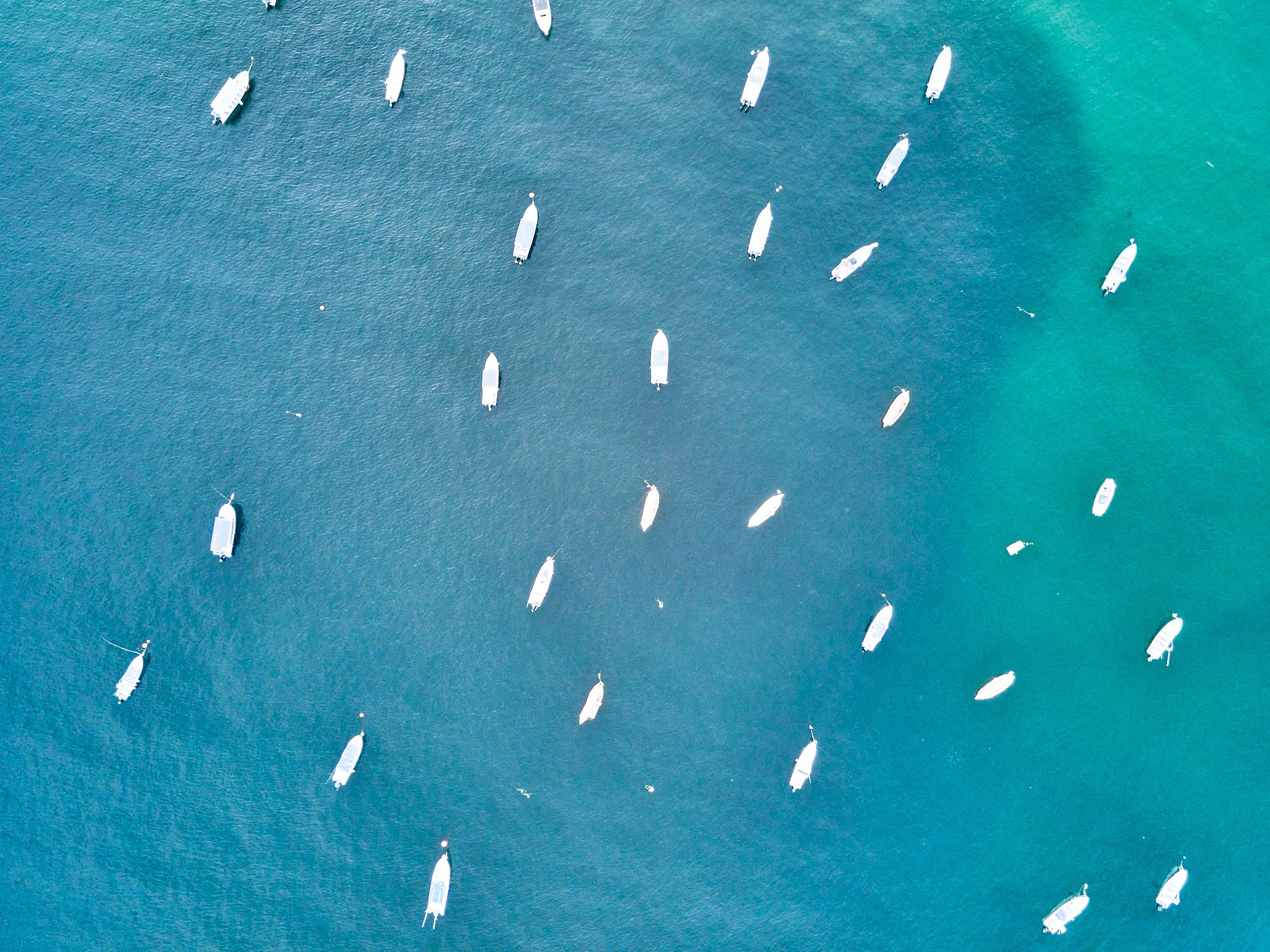 DJI_0630.jpg