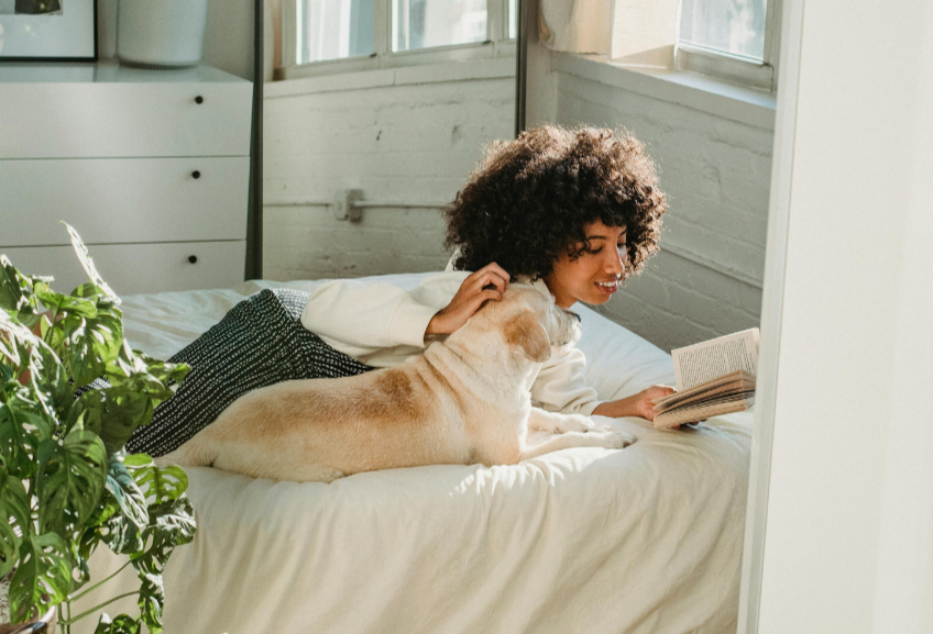 A woman with curly hair lying on her stomach on a bed, reading a book, with a dog lying next to her, in a bright room with large windows. Taking time for her before her sesion with her black therapist. 