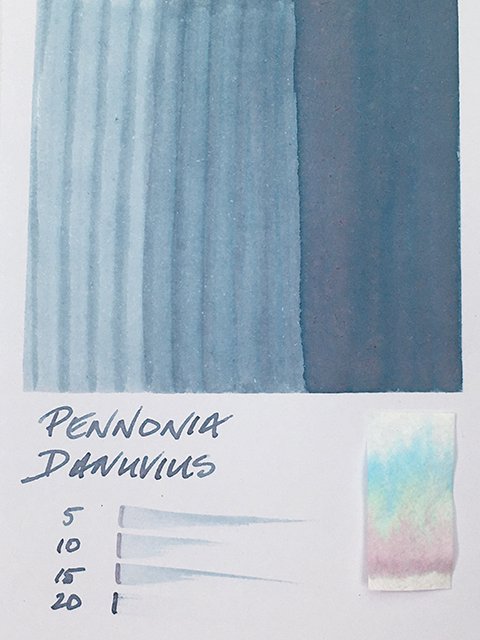 Pennonia Danuvius fountain pen ink swatch card