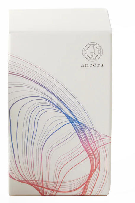 Ancora's fountain pen ink box