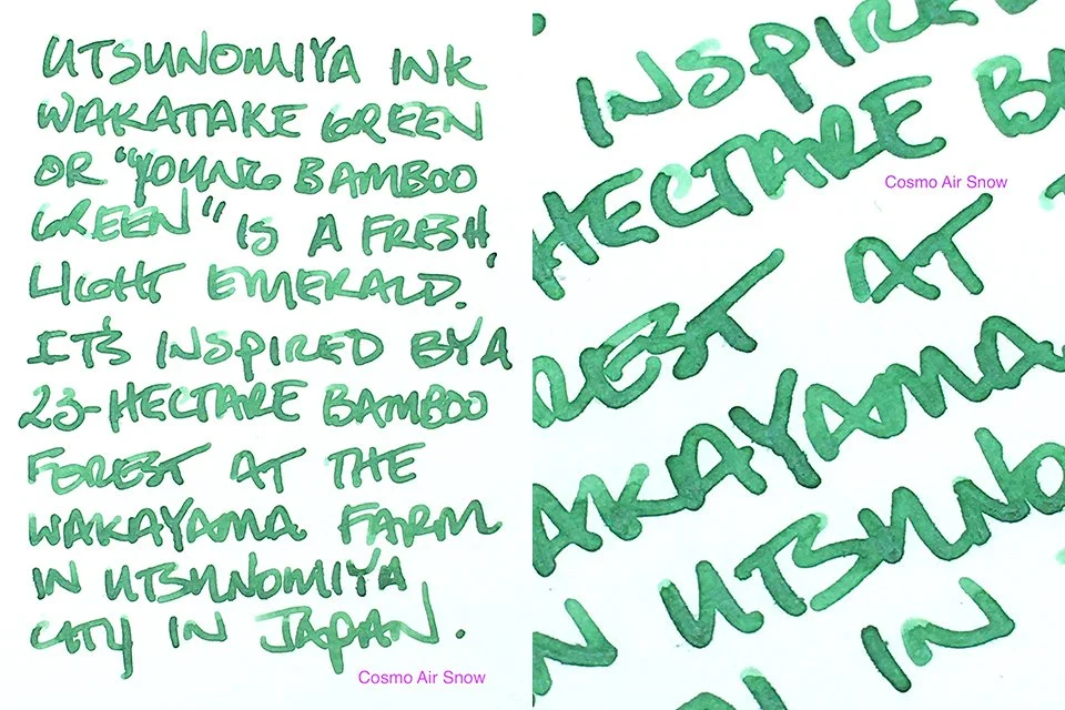 Utsunomiya INK Wakatake Green fountain pen ink writing sample