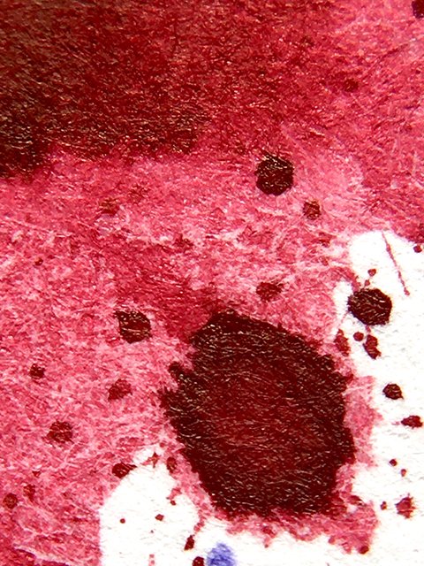 Van Dieman's Inks Fire Coral ink shading range