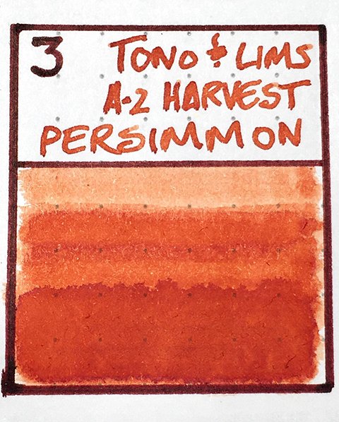 Tono & Lims A2 Harvest Persimmon fountain pen ink light to dark