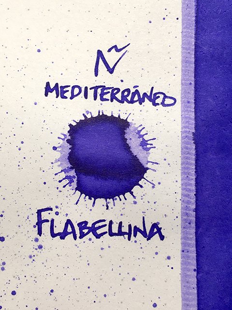 N Mediterraneo Flabellina ink review link