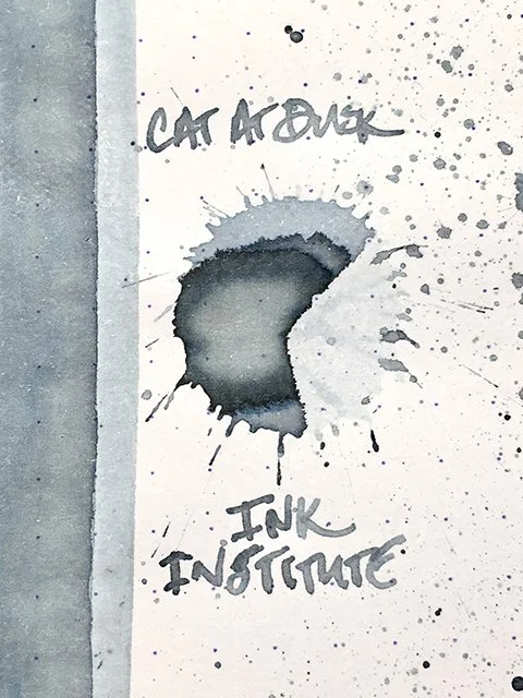 Ink Review: Ink Institute Cat at Dusk fountain pen ink. — Inky Inspirations