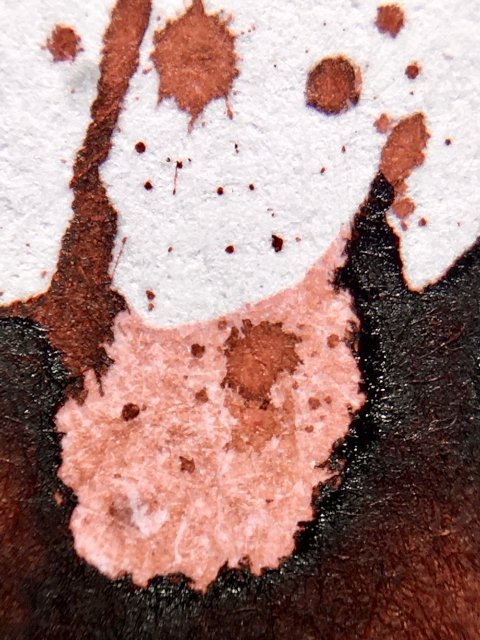 Platinum Earth Brown ink macro image