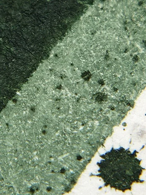 Nahvalur Dark Forest ink color range