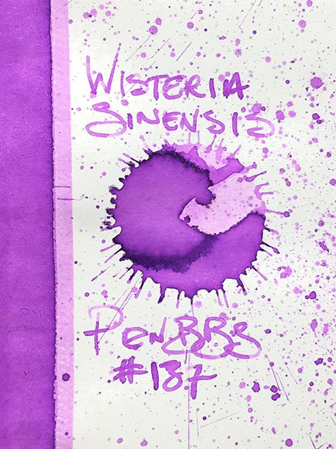 PenBBS 137 Wisteria Sinensis ink drop