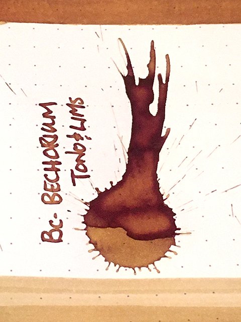 Tono & Lims BC Bechorium fountain pen ink under incandescent lighting