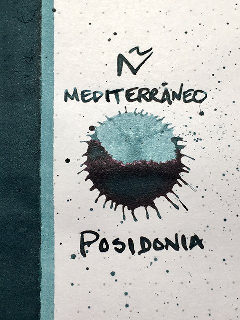 N Mediterraneo Posidonia ink review link