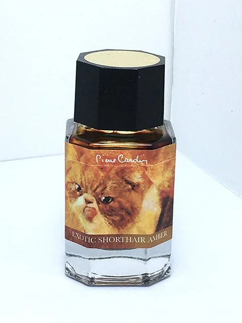 Pierre Cardin Exotic Shorthair Amber fountain pen ink 20 ml bottle