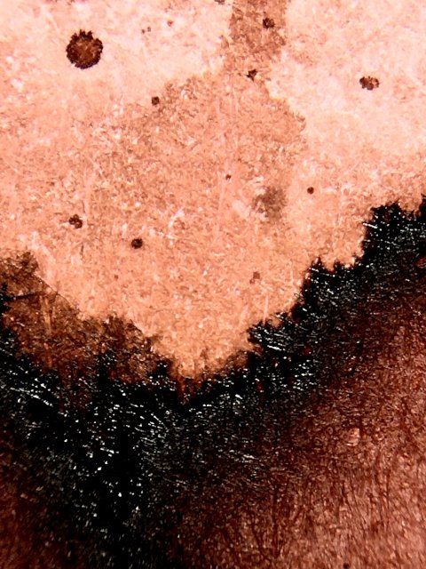 Platinum Mixable Earth Brown ink range