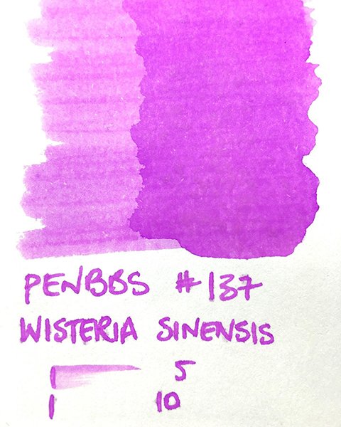 PenBBS 137 Wisteria Sinensis ink swatch card