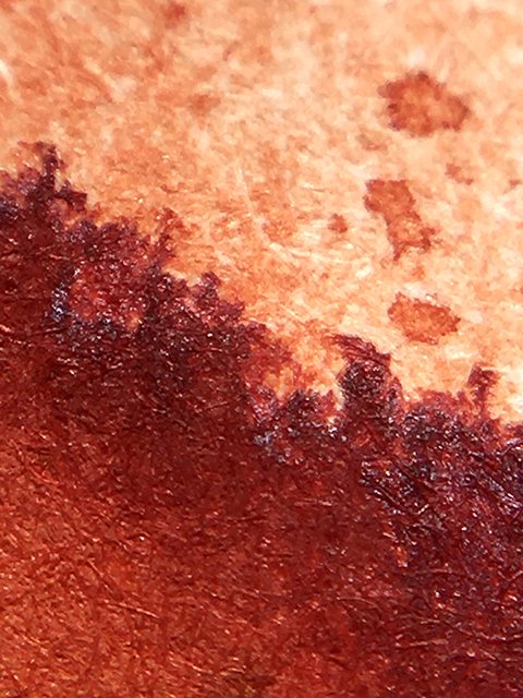 Tono & Lims A2 Harvest Persimmon fountain pen ink color range
