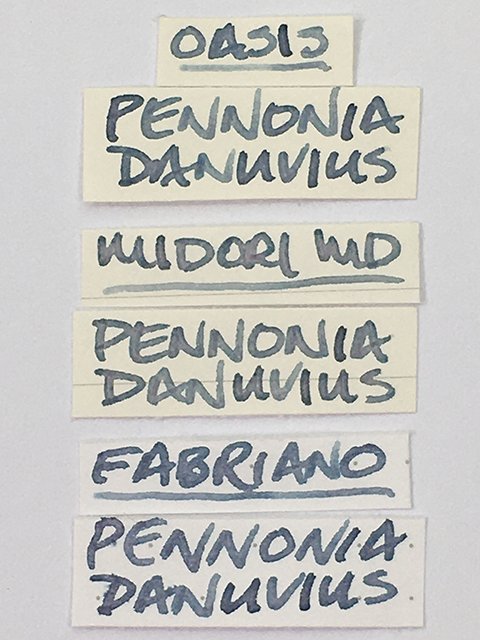 Pennonia Danuvius fountain pen ink writing samples