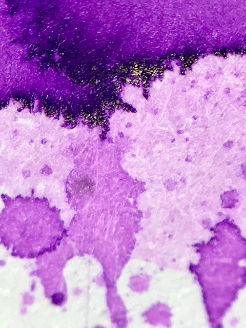 PenBBS 137 Wisteria Sinensis ink shading and edge