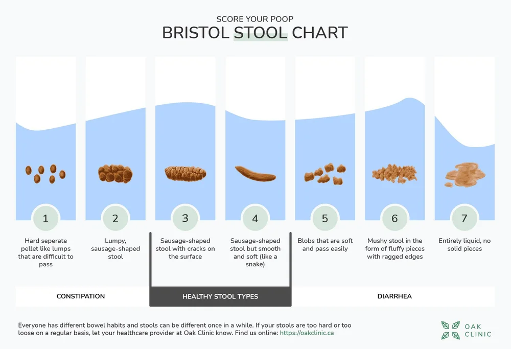 Constipated, and can’t get to the bottom of it? You Might have ...