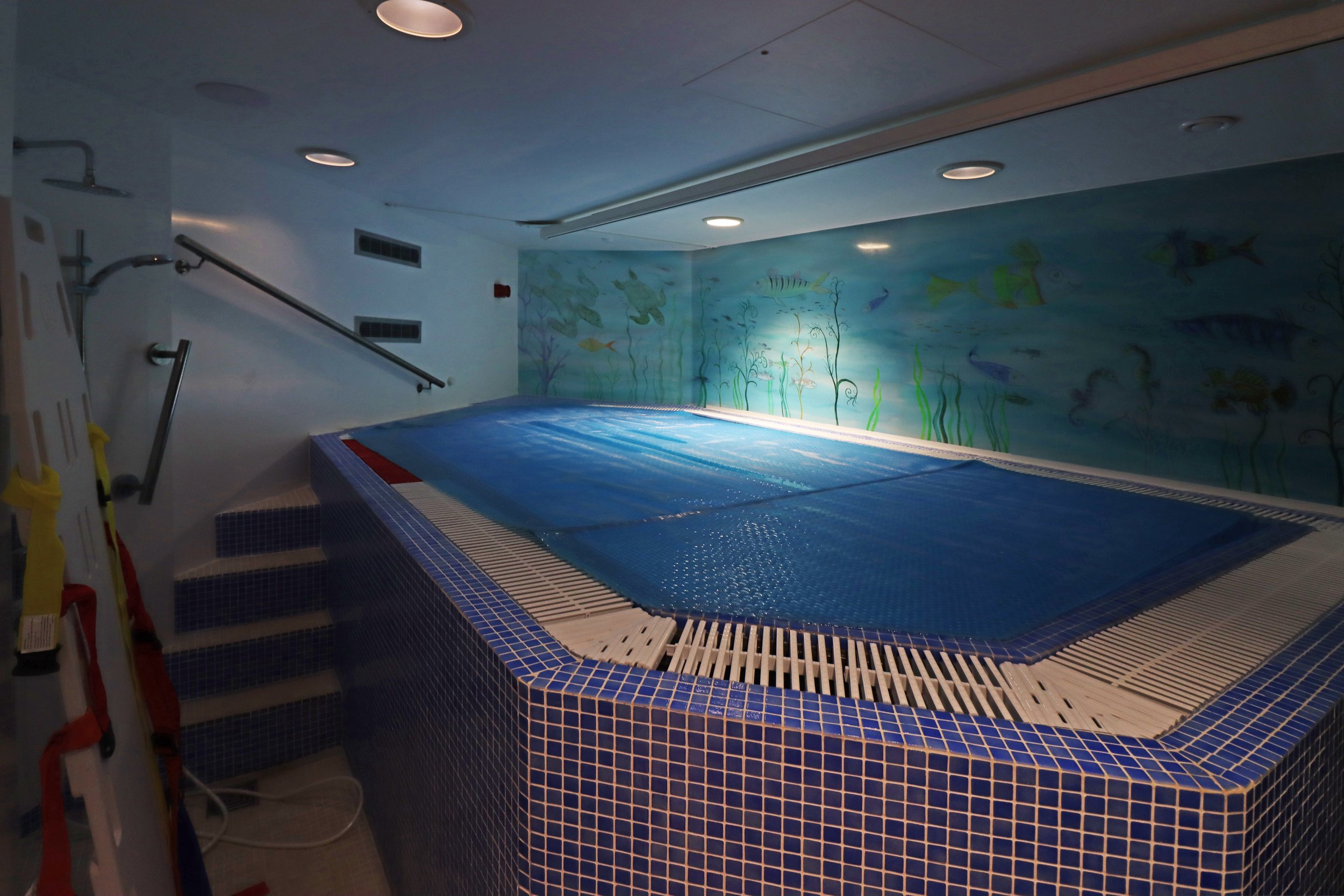 Hydrotherapy pool
