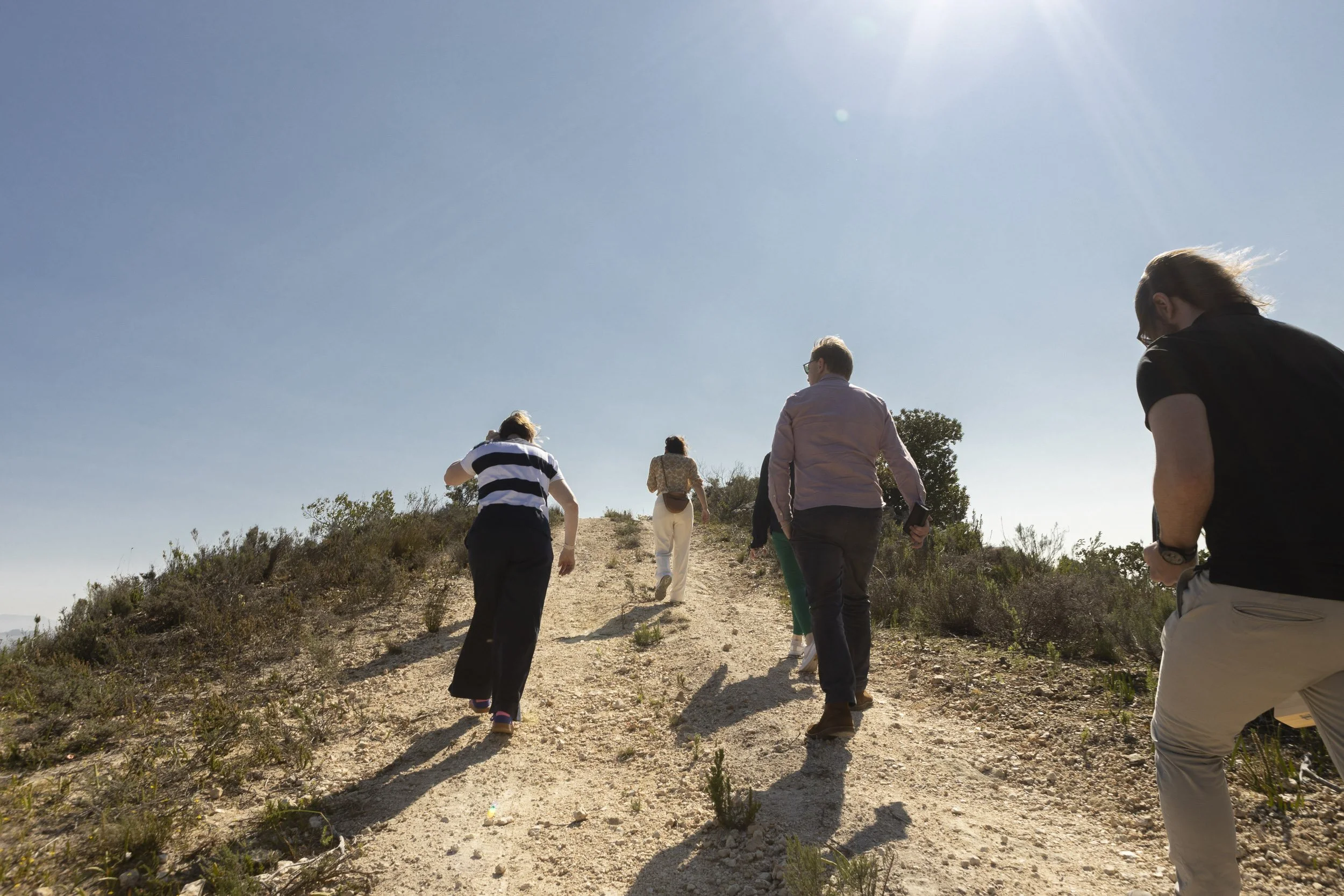 Gall & Gall ( Netherlands Company) Wine Tour in Cape Town and Stellenbosch, South Africa, visiting client farms. Lanzerac. Tour Group Photographer. Lauren Theunissen.   
