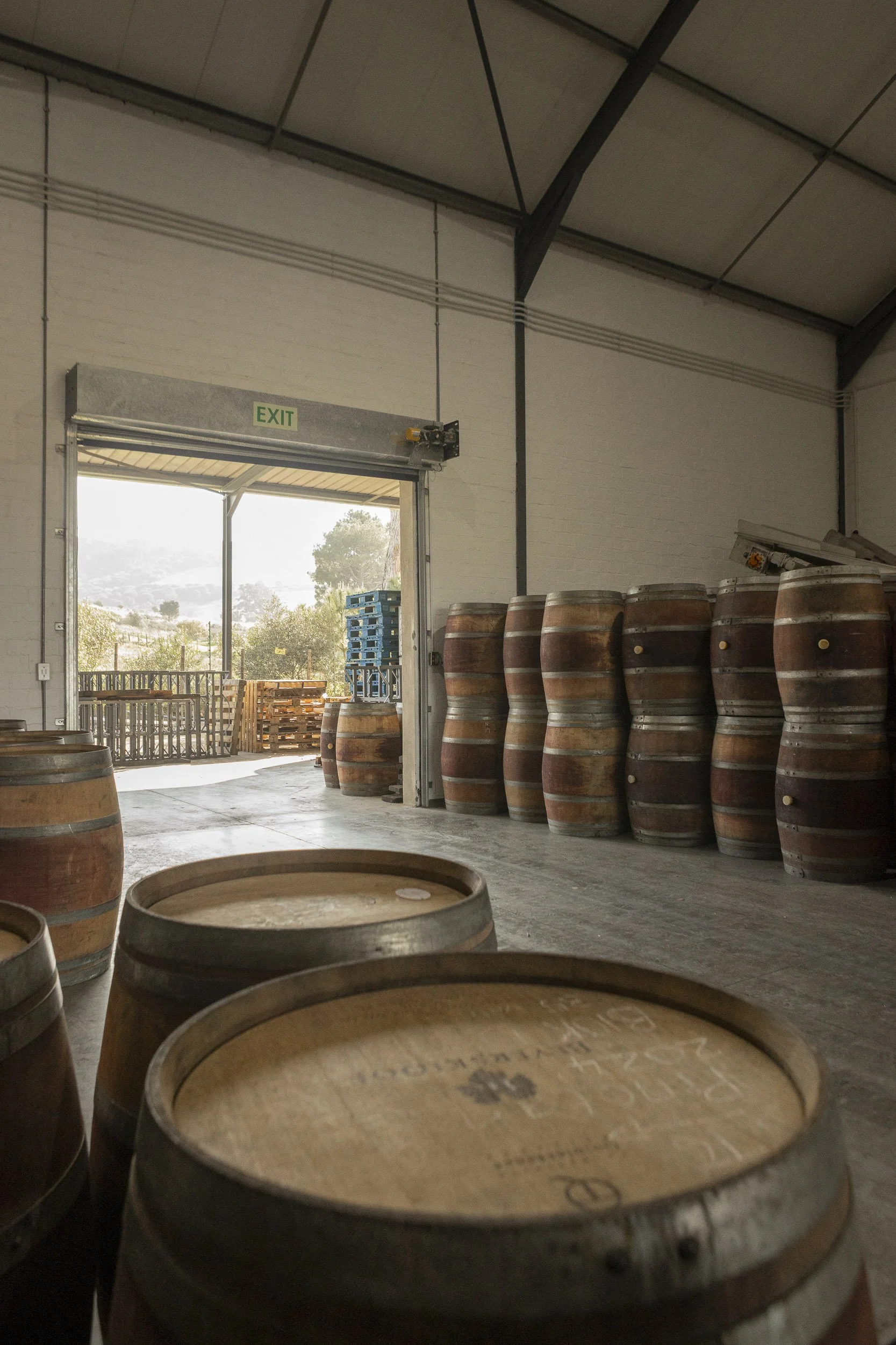 Gall & Gall ( Netherlands Company) Wine Tour in Cape Town and Stellenbosch, South Africa, visiting client farms. Beyerskloof. Tour Group Photographer. Lauren Theunissen.   
