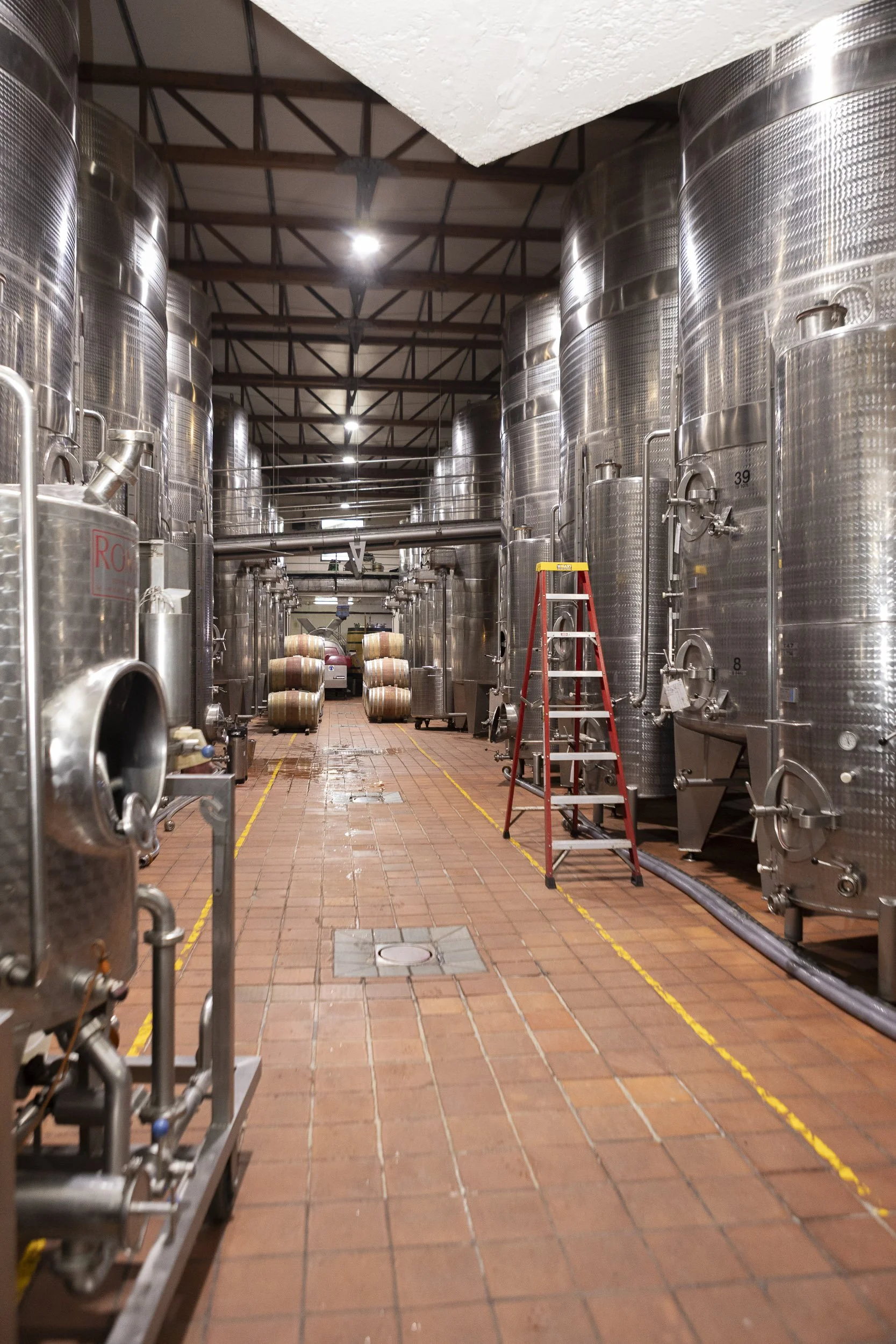 Gall & Gall ( Netherlands Company) Wine Tour in Cape Town and Stellenbosch, South Africa, visiting client farms. Beyerskloof. Tour Group Photographer. Lauren Theunissen.   
