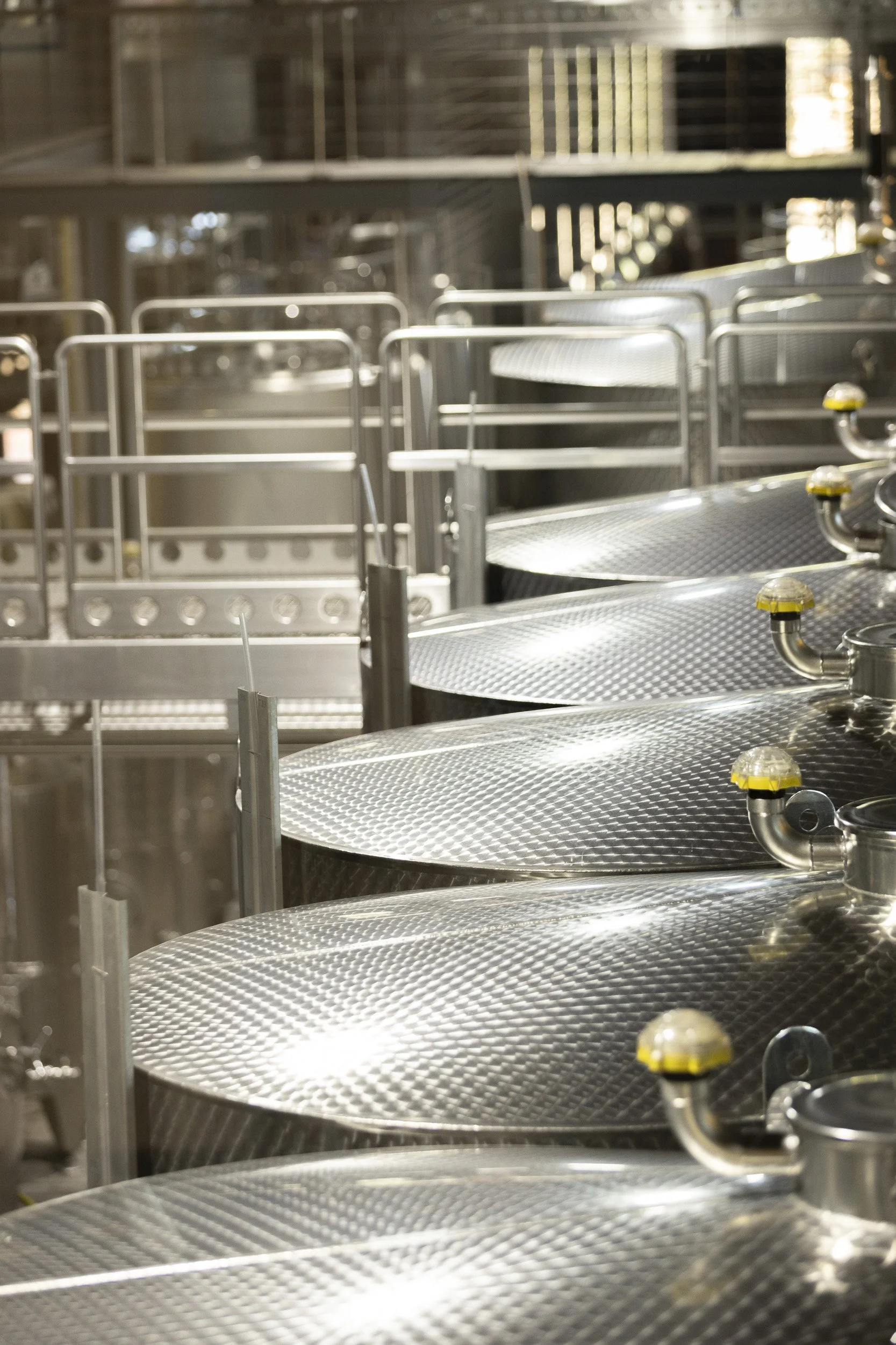 Gall & Gall ( Netherlands Company) Wine Tour in Cape Town and Stellenbosch, South Africa, visiting client farms. Tokara. Tour Group Photographer. Lauren Theunissen.   
