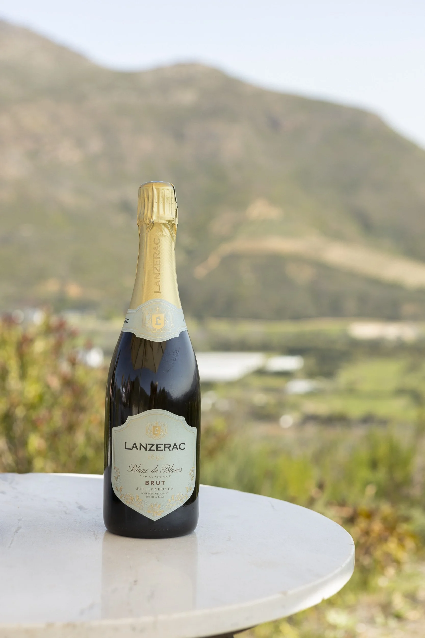 Gall & Gall ( Netherlands Company) Wine Tour in Cape Town and Stellenbosch, South Africa, visiting client farms. Lanzerac. Tour Group Photographer. Lauren Theunissen.   
