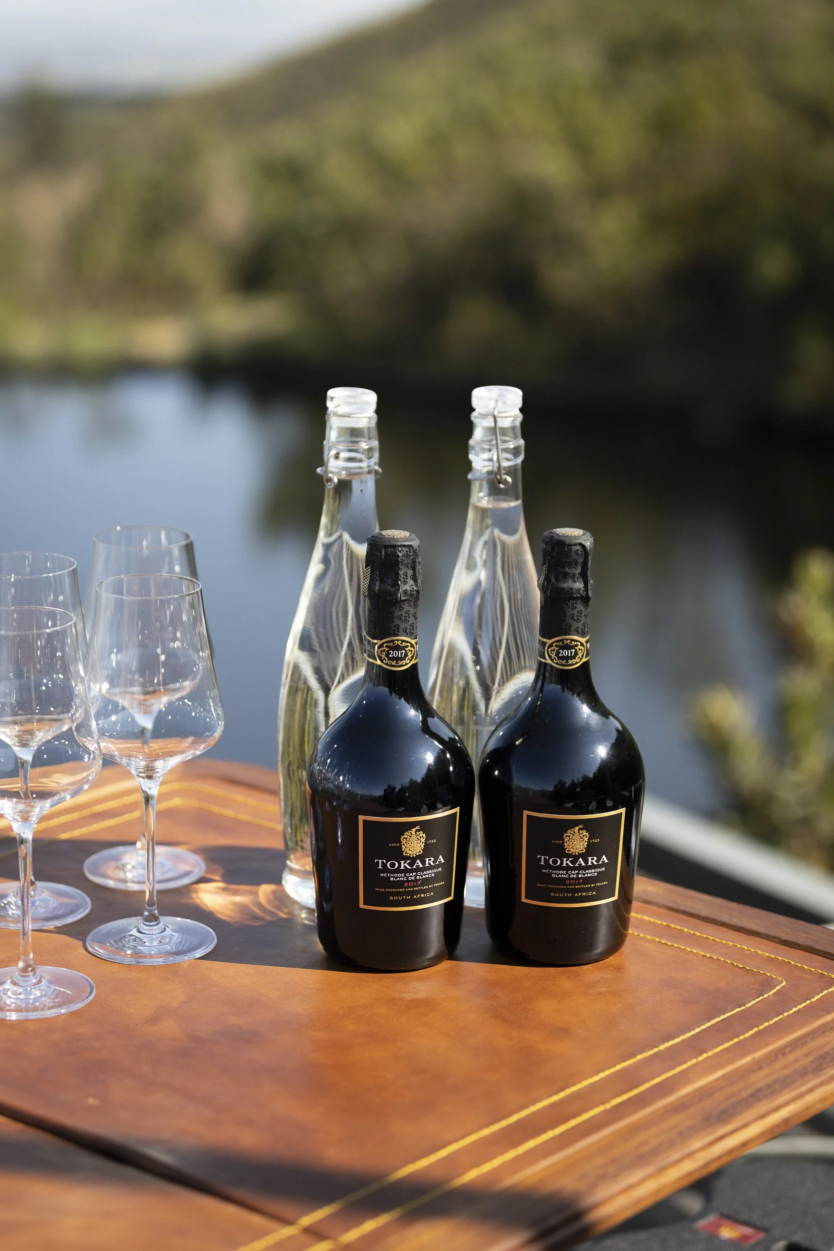 Gall & Gall ( Netherlands Company) Wine Tour in Cape Town and Stellenbosch, South Africa, visiting client farms. Tokara. Tour Group Photographer. Lauren Theunissen.   
