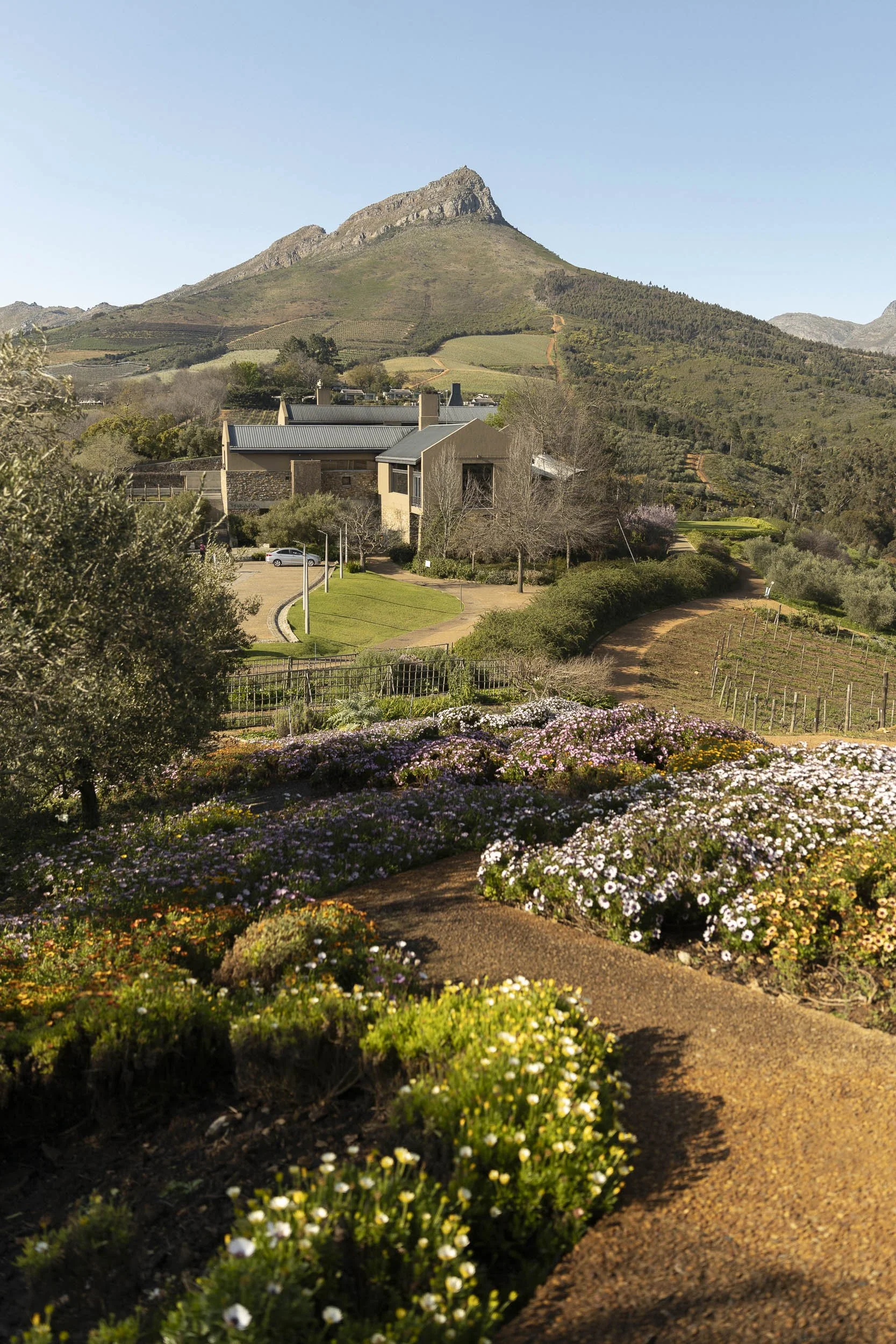 Gall & Gall ( Netherlands Company) Wine Tour in Cape Town and Stellenbosch, South Africa, visiting client farms. Tokara. Tour Group Photographer. Lauren Theunissen.   

