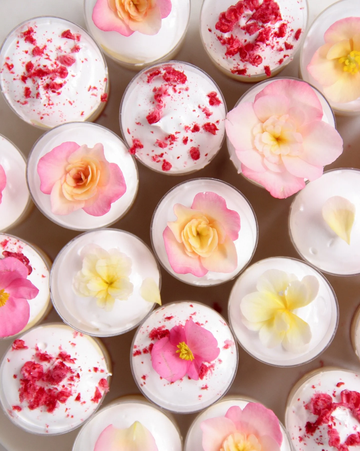 Juustokakkushotit ovat ihania, kooltaan pieniä mutta maultaan suuria annoksia. Makuina mm. vanilja-raparperi, sitruuna-vadelma, kinuski-mustikka ja juustokakkujen klassikko vanilja-mango. 🍋🥭🫐 Juustokakkushotit voidaan koristella syöt&aum