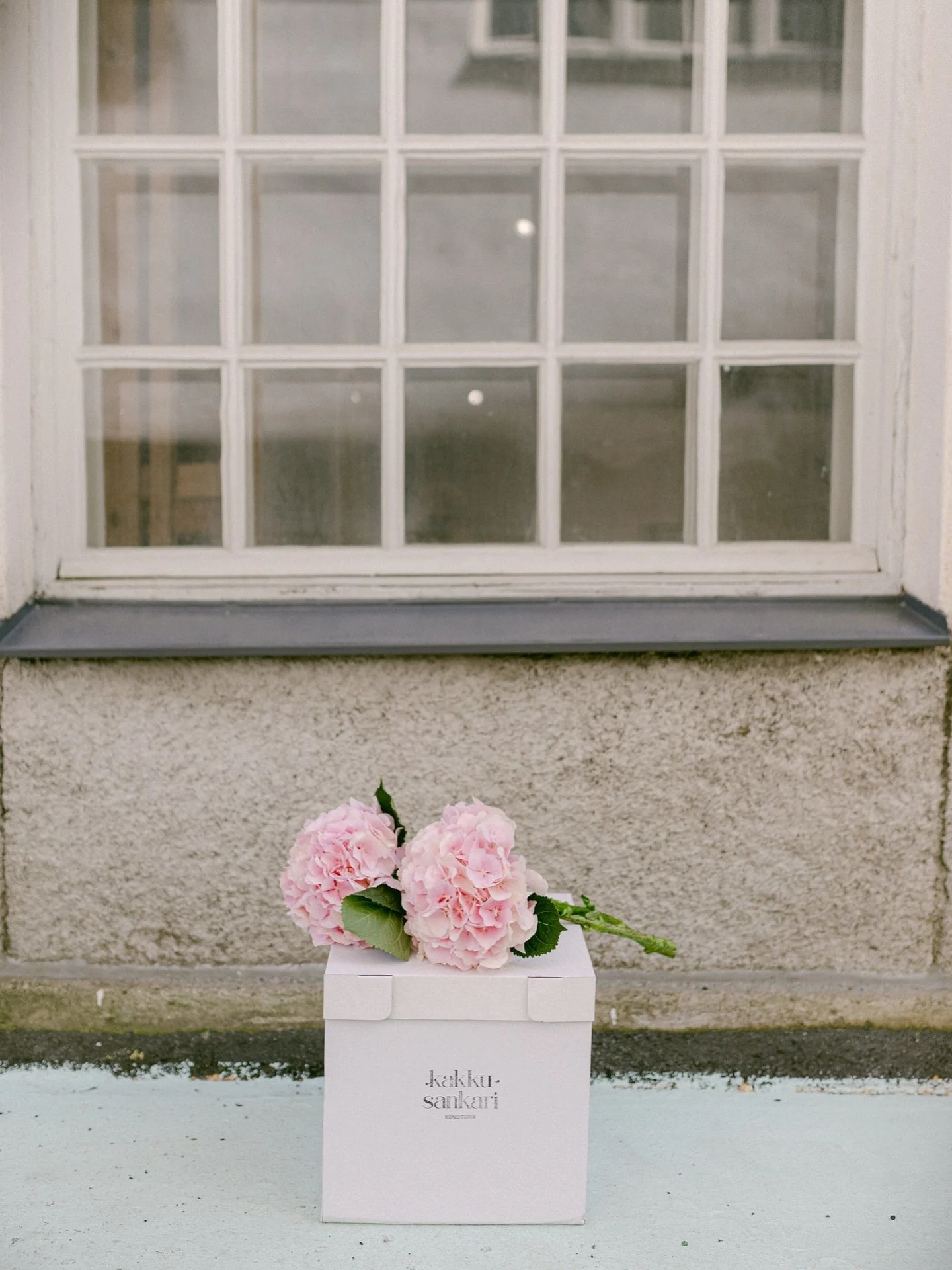 Yo-viikolle tulee paljon tilauskyselyj&auml;, mutta valitettavasti se on tilauskalenterissani t&auml;ynn&auml;. My&ouml;s kes&auml;kuu on t&auml;ynn&auml;. 🌸 Kes&auml;lle on vapaana tilaa hyvin rajallisesti, joten kakut ja (logo)macaronit kannattaa 