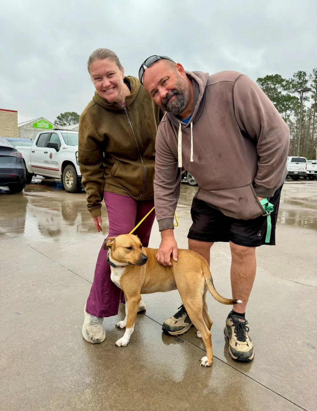 A smiling woman and a man are posing with a tan dog on a wet parking lot. The woman is wearing a green jacket and purple pants, and the man is in a brown hoodie and black shorts. The dog is on a yellow leash and looks content.